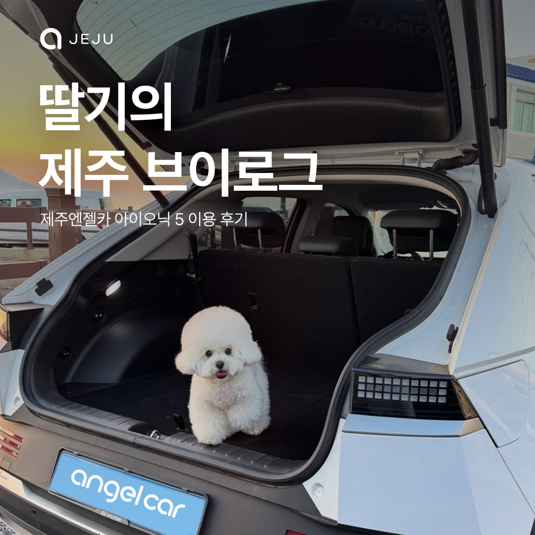 반려동물 동반 이용 고객 리뷰 with 딸기